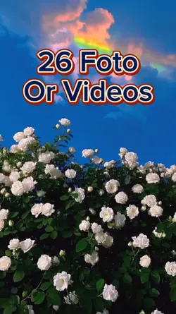 26 Foto Slides