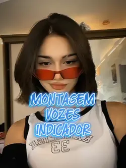 VOZES INDICADOR