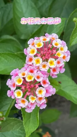♡ かわいすぎる♡