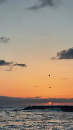1 video 