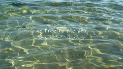 Sea vlog 