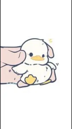 DUCKS!!
