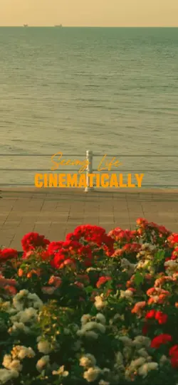 Cinematics