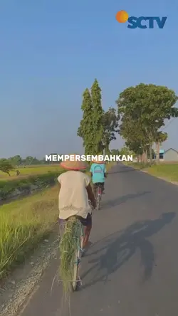 Ftv Sctv
