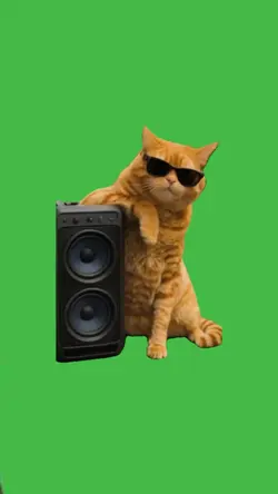 Meme Cat