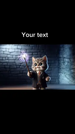 Meow potter