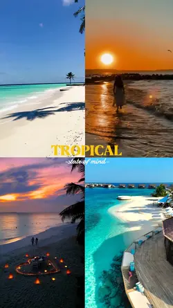 tropical state of 