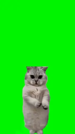 GREEN SCREEN 