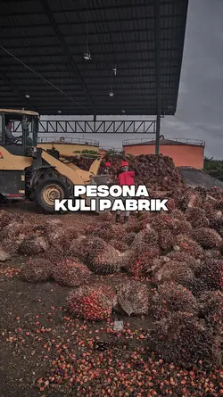 PESONA KULI 