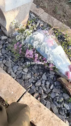 bertemu kerumah baru