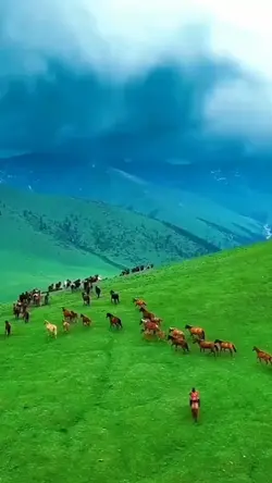 nature 5 clip