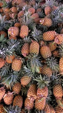 Nanas segar