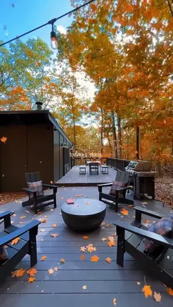 autumn story 🍂🪵