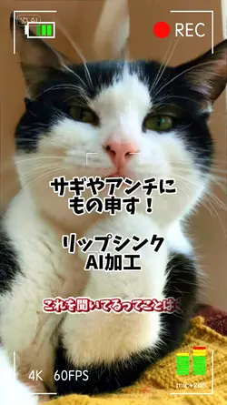 リップシンク　サギやアンチにもの申す