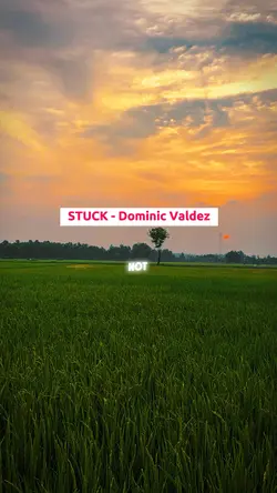 Stuck Dominic Valdez