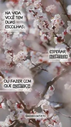 ESCOLHA FLORES