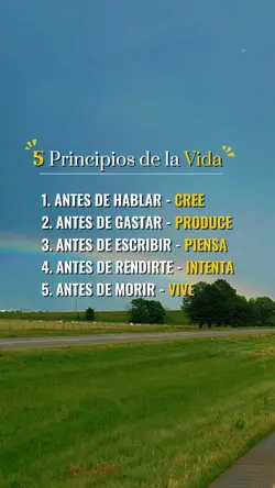5 principios ...