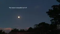 isn't it?