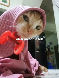 nek logor opo Yo lek