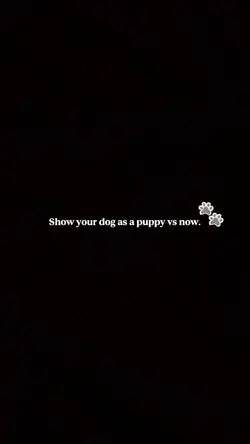 Puppy vs Dog