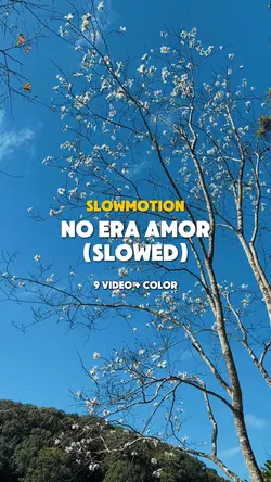 No Era Amor (Slowed)