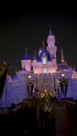 Disneyland edit