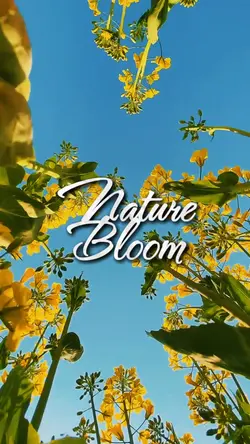 Nature Bloom