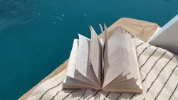 no text