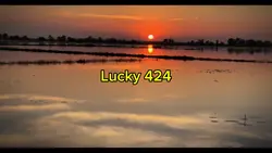 Lucky 424