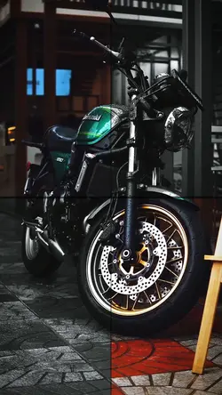 Kawasaki biker 