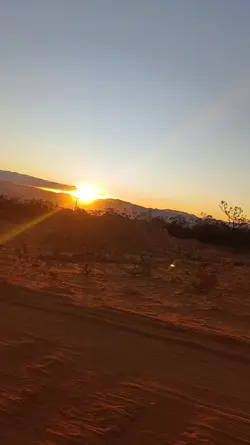 Tardezinha