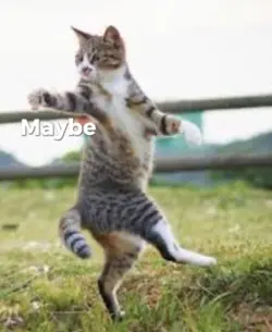 I WANT TO BE NINJA