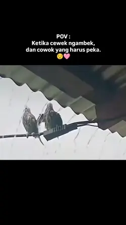 cewek ngambek