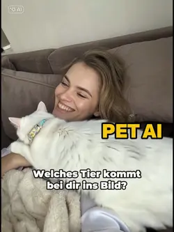 Pet AI