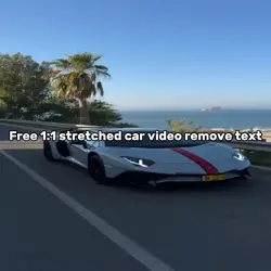 Free car vid stretch