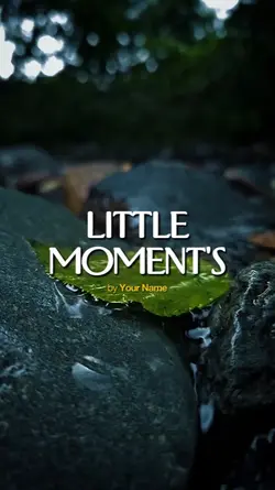 LITTLE MOMENT'S