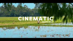 7 Klip Cinematic aes