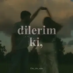 Dilerim kii 