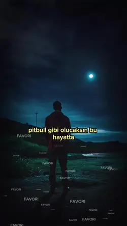 pitbul