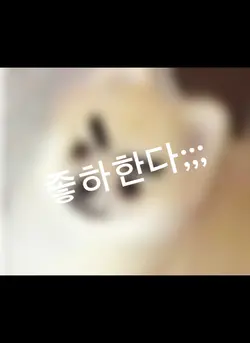 2딜전에 만든 영상