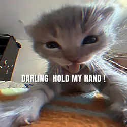DARLING HOLD MY HAND
