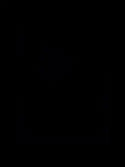 tiktok viral 
