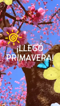 Llegó Primavera 🌼