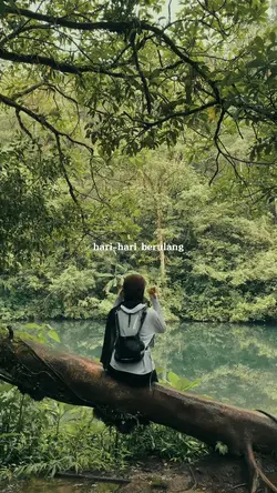 Teh Hijau - Tulus