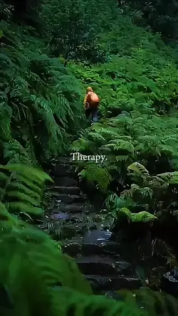 Therapy