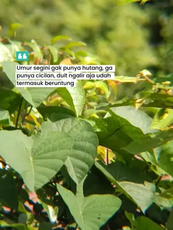 Beruntung