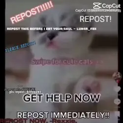 REPOST!!