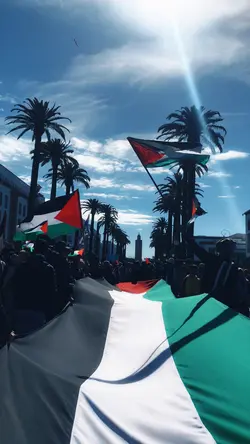 Free Palestine 🇵🇸