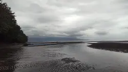 Beach View