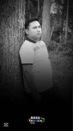 voice of nayem 